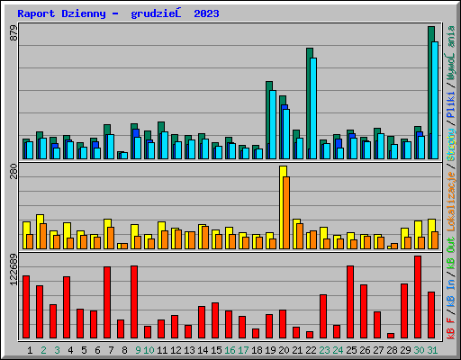 Raport Dzienny -  grudzień 2023