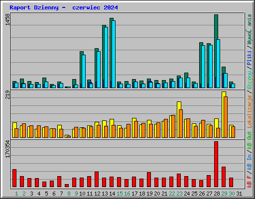 Raport Dzienny -  czerwiec 2024