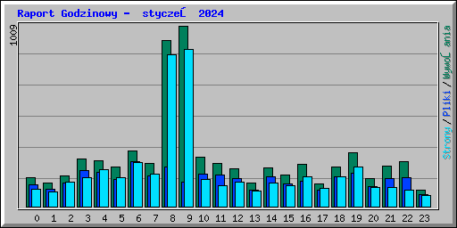 Raport Godzinowy -  styczeń 2024