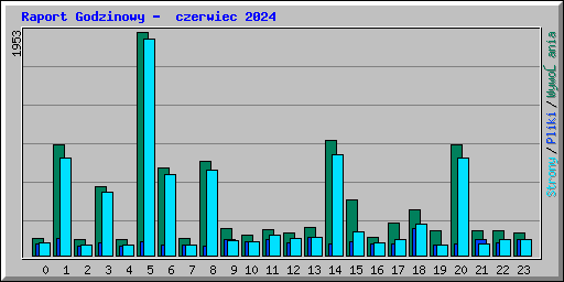 Raport Godzinowy -  czerwiec 2024