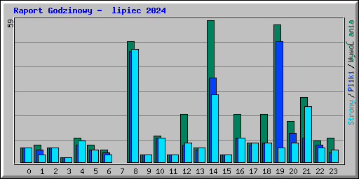 Raport Godzinowy -  lipiec 2024